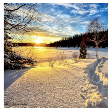 Winter Landscape Swedish Dishcloth