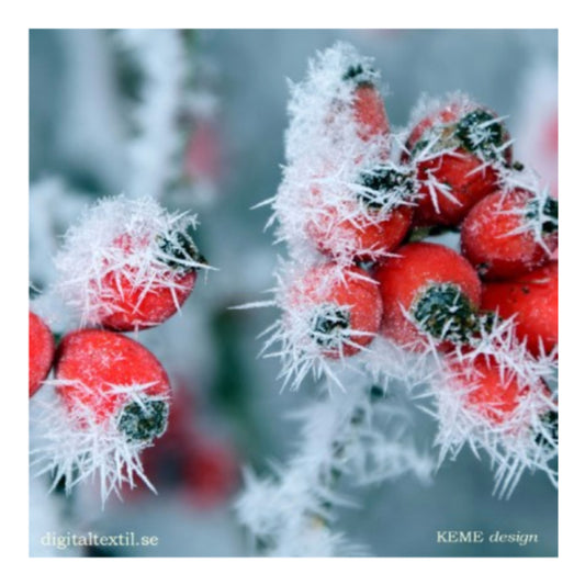 Frozen Lingonberries Swedish Dishcloth