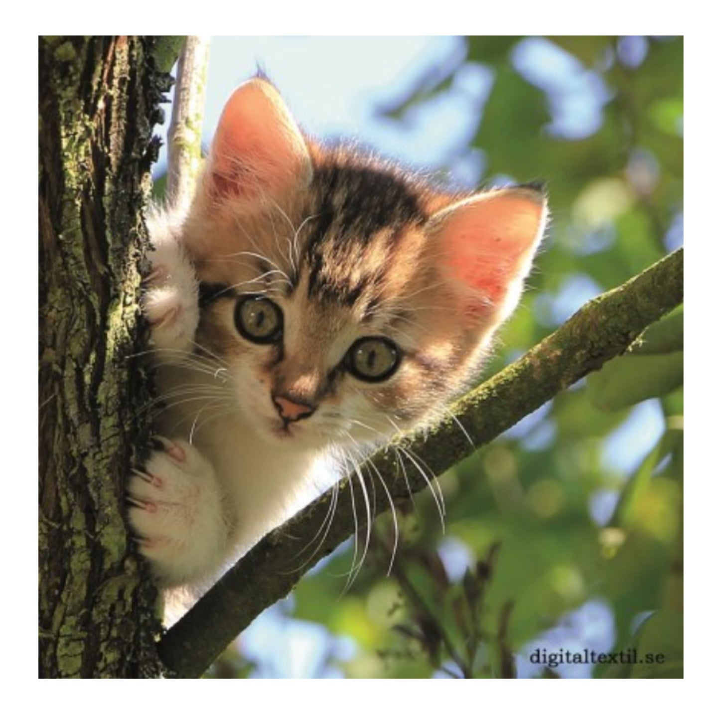 Kitten in Tree Swedish Dishcloth