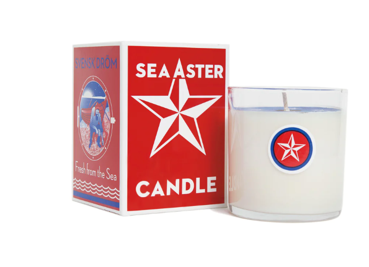 Sea Aster Candle