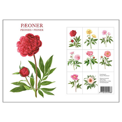 Koustrup & Co. Peony Note Cards